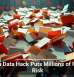 Health Data Hack Puts Millions of Files at Risk